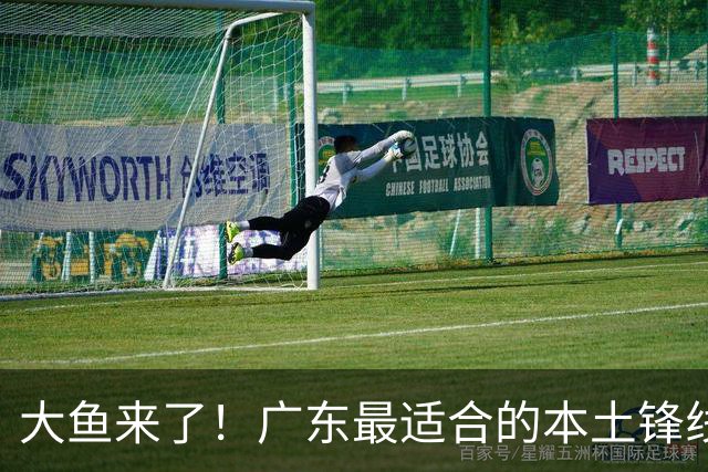 大鱼来了！广东最适合的本土锋线曝光，朱芳雨可能完成“2换1”？