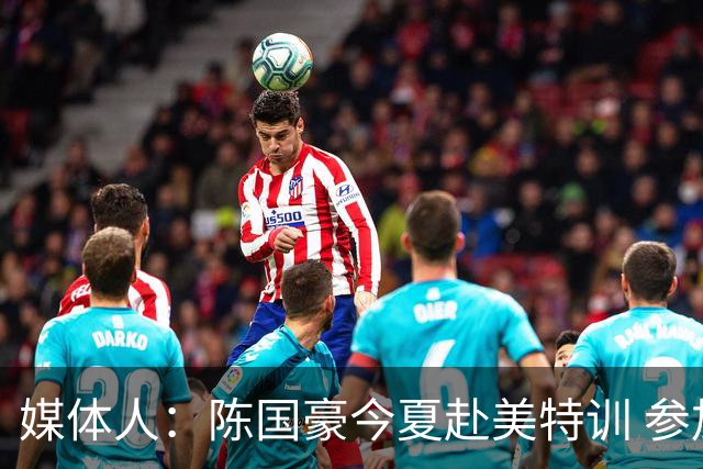 媒体人：陈国豪今夏赴美特训 参加由NBA主导的欧洲篮球夏联训练营