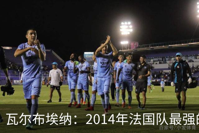 瓦尔布埃纳：2014年法国队最强的是博格巴，最被低估的是马图伊迪