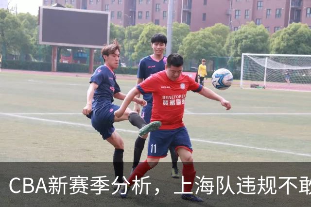 CBA新赛季分析，上海队违规不敢夺冠，广东队没杜锋真不行